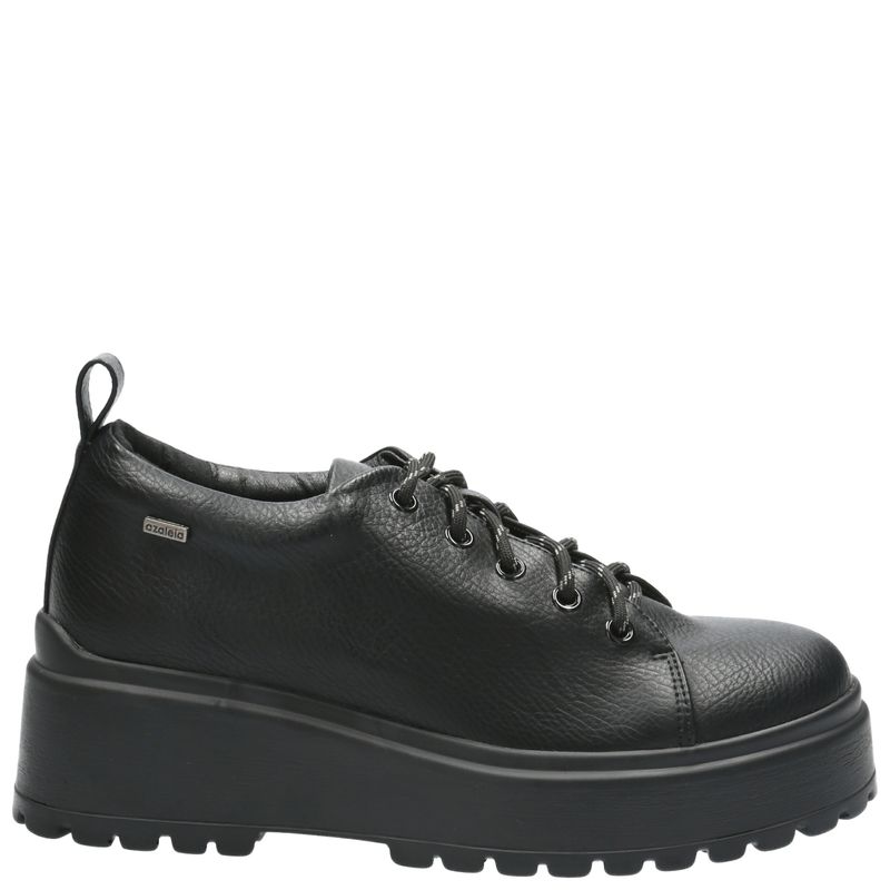 Zapato-Mujer-Gabriel