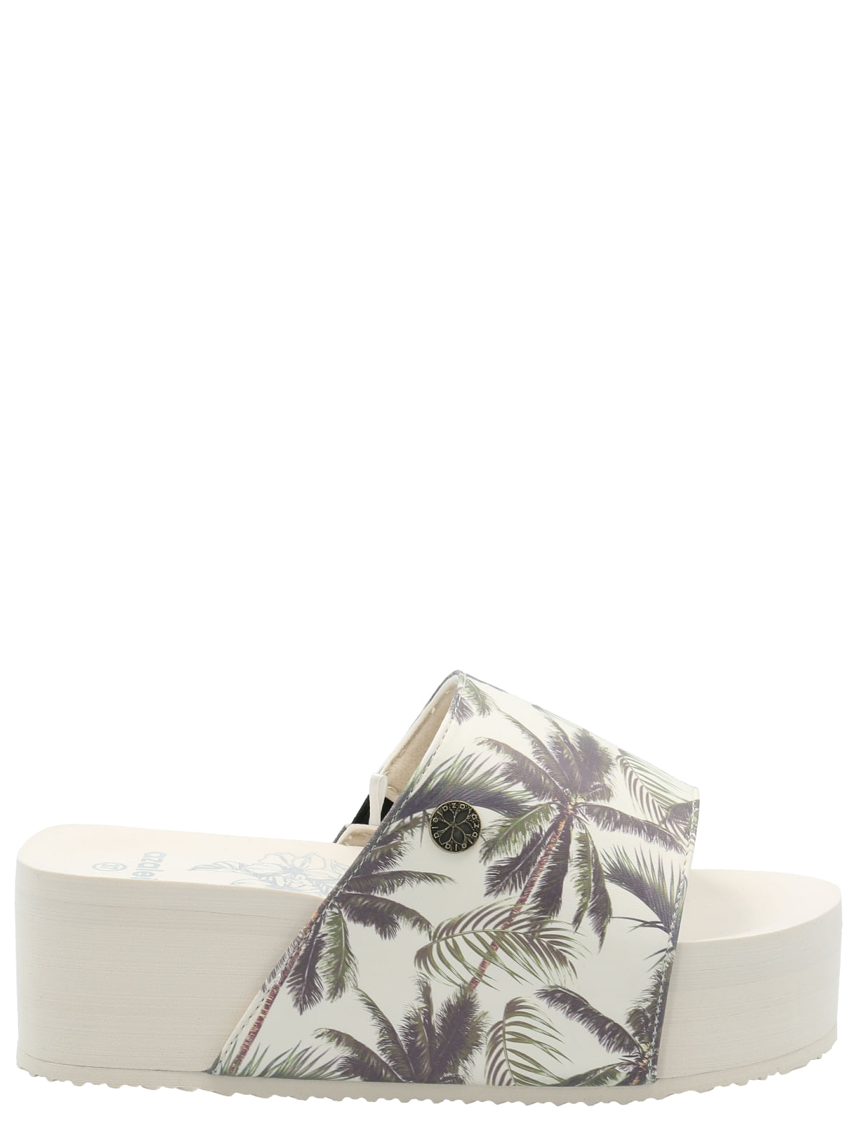 Hawaiana Mujer Dulce Ostra Azaleia